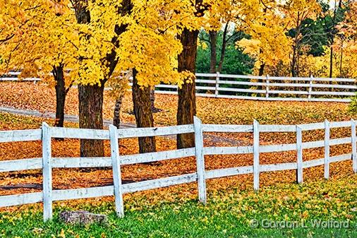 Autumn Fence_29972.jpg - Photographed at Smiths Falls, Ontario, Canada.